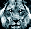 Аватар для Dr.Lion/RSM